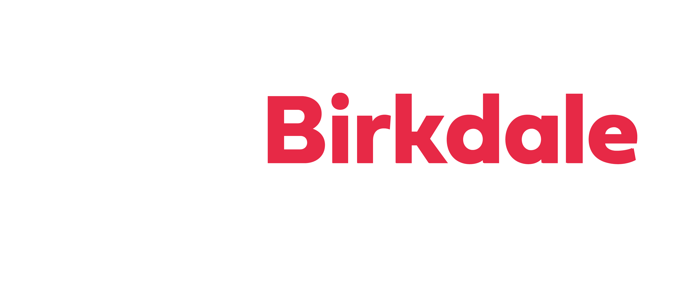 Birkdale Insurance Group